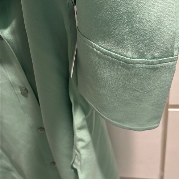 NWT Equipment Creme de Menthe Button-Down Leona Silk Shirt Sz XL - Picture 5 of 9